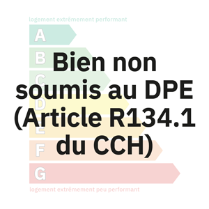 Bien non soumis au DPE